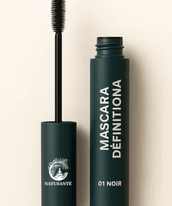 Mascara définition 01 Noir
