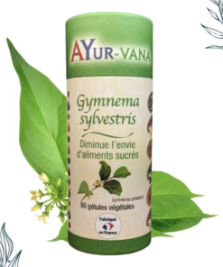 Alternative view of Gymnema sylvestris – AyurVana