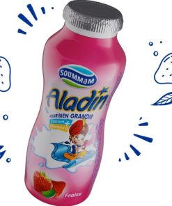 Yaourt ALADIN Fraise à Boire 100g – Fraîcheur gourmande en Algérie- eChrily courses