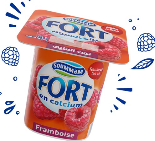 Yaourt Soummam Fort Framboise – Pot 100 g eChrily courses – Image 2