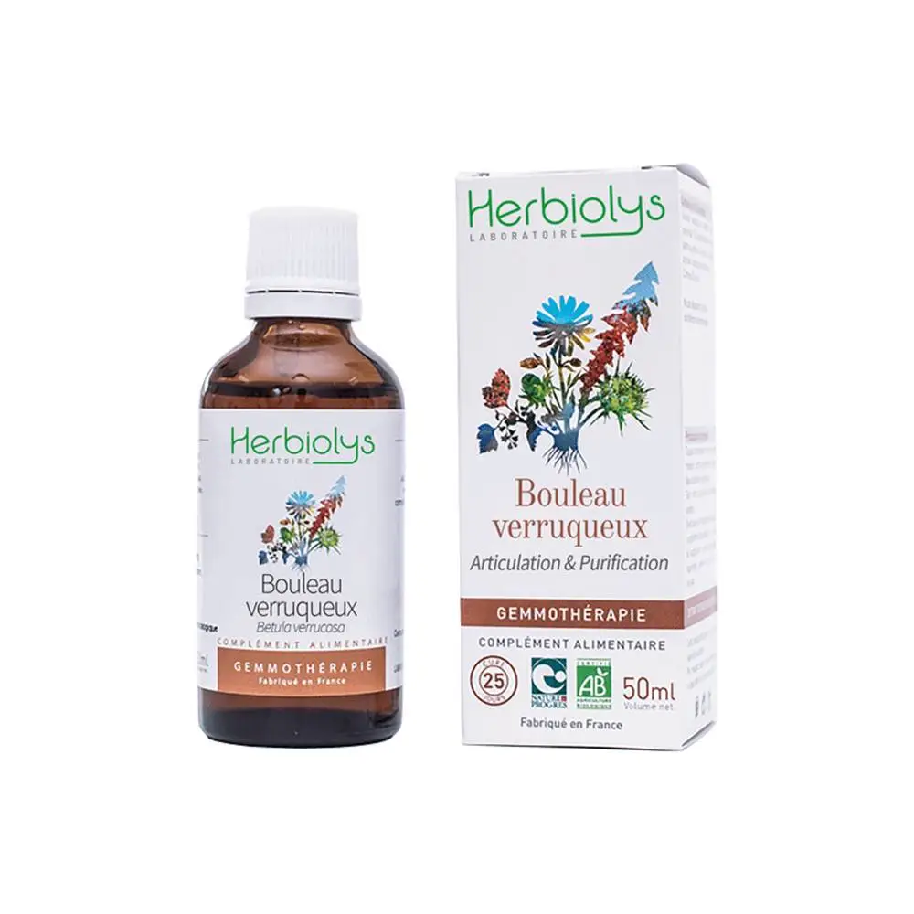 Bouleau verruqueux 50ml – Image 2
