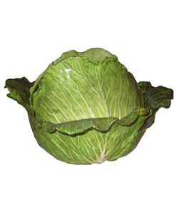 Alternative view of Choux Frais – 1 KG – Croquant et Nutritif