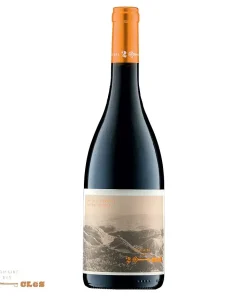 Alternative view of Domaine des Deux Clés IGP Vallée du Paradis « Réserve » rouge 2020