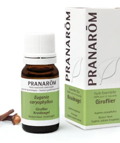 Alternative view of HE GIROFLIER 10 ML(PRANAROM)