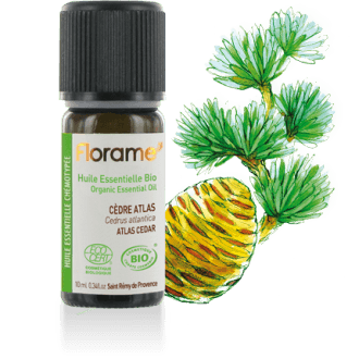 Cèdre Atlas Bio 10ml – Image 2