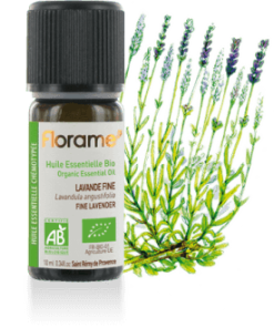 Lavande Fine bio 10ml