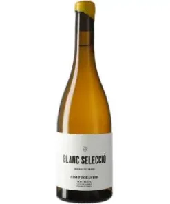 Josep Foraster Blanc Selecció 2024