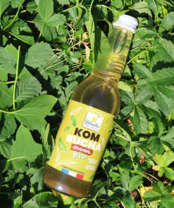 Kombucha original bio 75cl