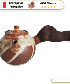 Théière Japonaise Kyusu Artisanal 230ml