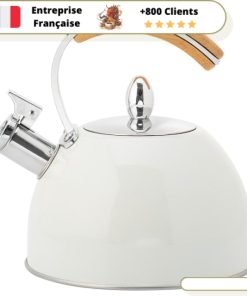 Bouilloire à Sifflet  Induction 3L