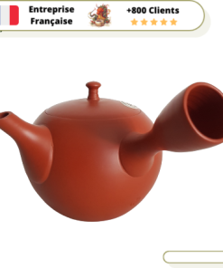 Théière en Argile du Japon  Tokoname 280ml