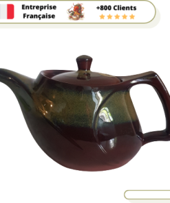 Théière Japonaise  Ushirode Kyusu Tokoname 450 ml