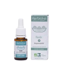 Willow – Saule n°38 – Fleurs Dr Bach Bio